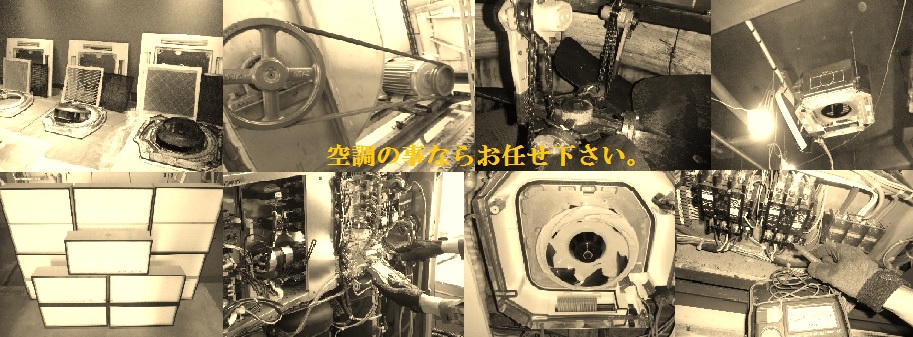 �V�q�󒲊������